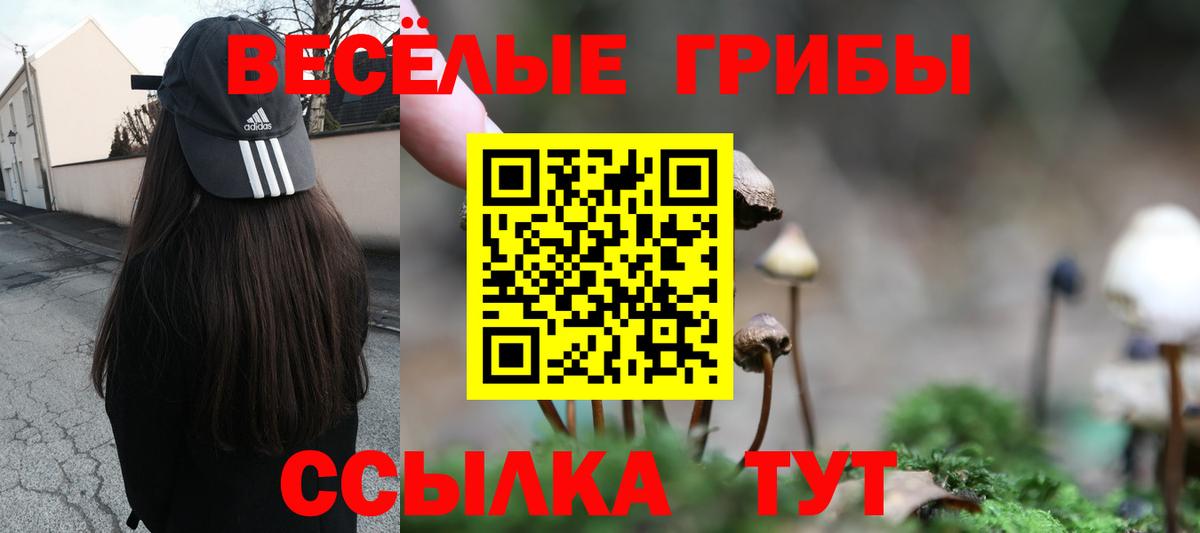 Галлюциногенные грибы прущие грибы  Галлюциногенные грибы MAGIC MUSHROOMS  Вход с VPN  Нурлат 